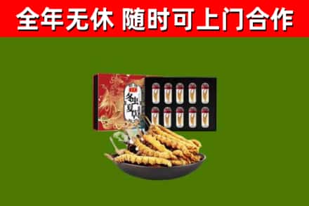 清丰烟酒回收冬虫夏草礼盒.jpg